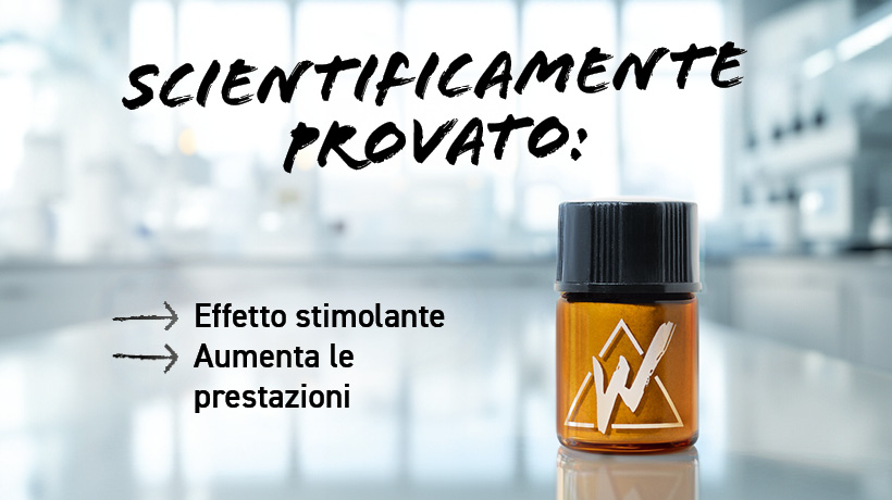 WK Infobilder it 820x460 6 nuevo 2 1 Confezione FESTIVAL - Gusto Mentolo
